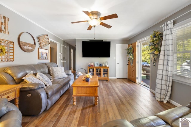 living room with crown molding, ceiling fan, and hardwood / wood-style flooring