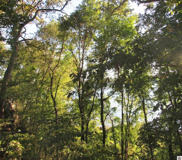 view of landscape