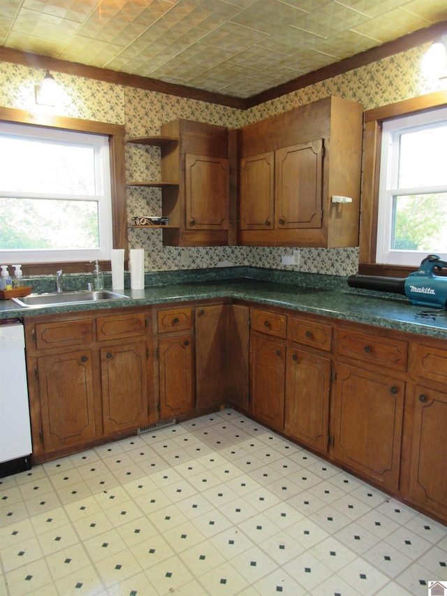 kitchen featuring crown molding, sink, and white dishwasher