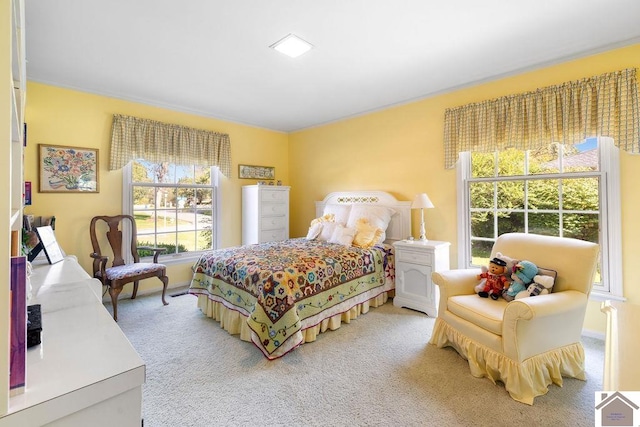 bedroom featuring carpet floors