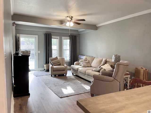 living room featuring wood-type flooring, crown molding, a textured ceiling, and ceiling fan