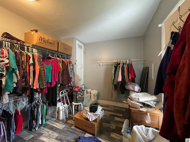 spacious closet featuring dark wood-type flooring