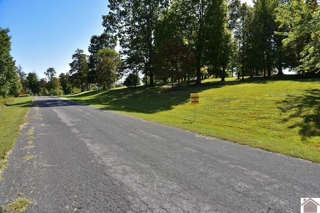 000 Briarwood Dr, Marion KY, 42064 land for sale