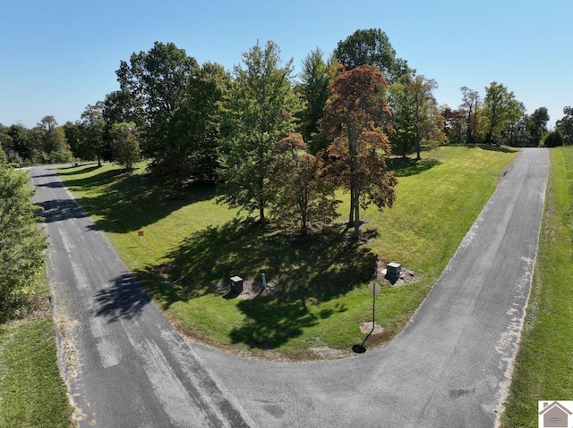 Listing photo 2 for 000 Briarwood Dr, Marion KY 42064