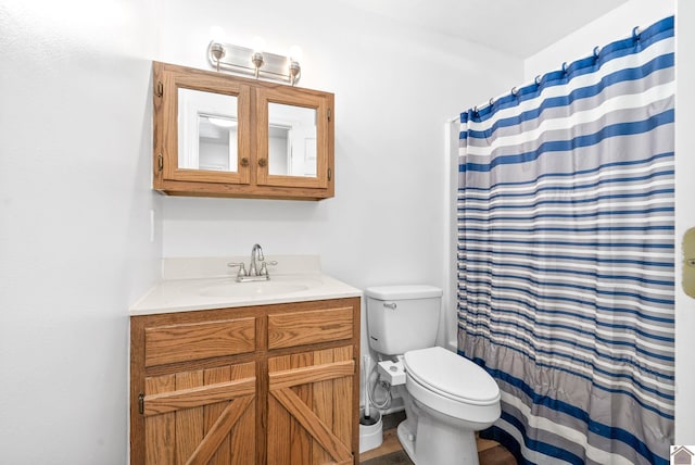 bathroom featuring vanity, toilet, and curtained shower