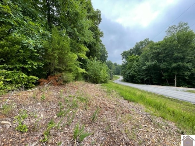 Listing photo 2 for LOT64 Sassafrass, Cadiz KY 42211