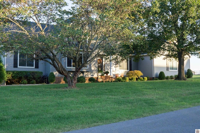 view of property hidden behind natural elements with a front lawn