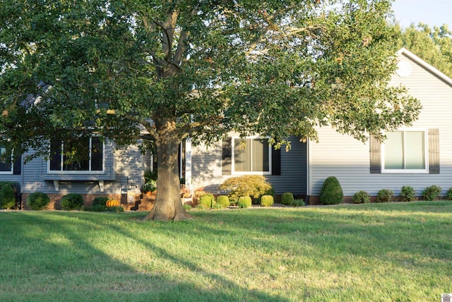 view of property hidden behind natural elements with a front lawn