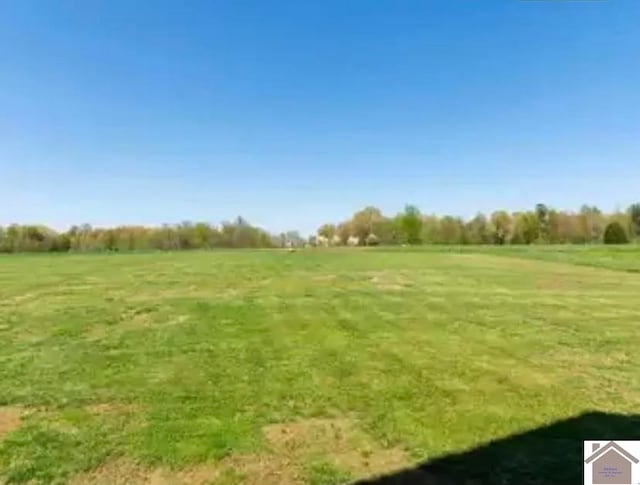 view of yard featuring a rural view