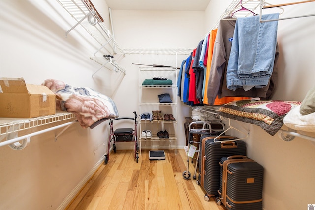 spacious closet featuring wood-type flooring