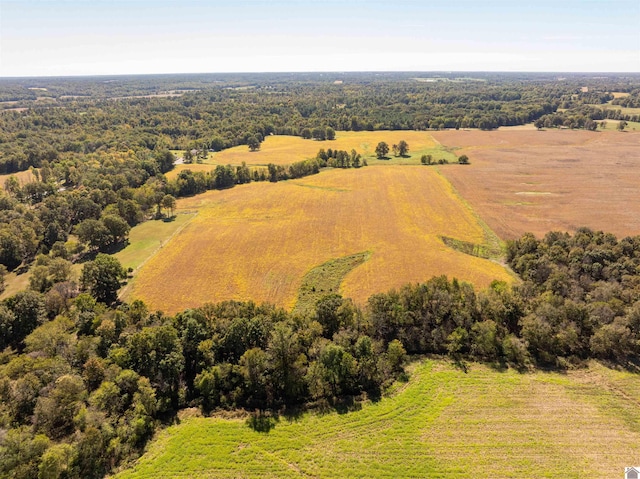 drone / aerial view featuring a rural view