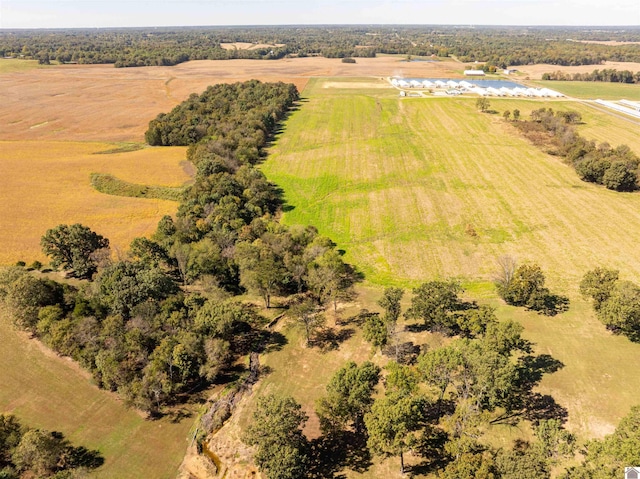 birds eye view of property featuring a rural view