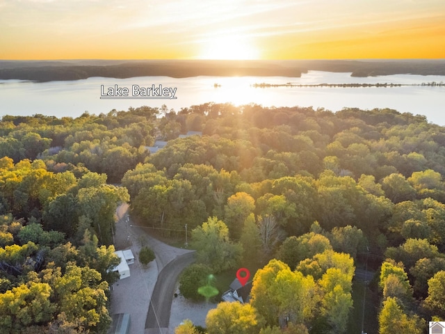 aerial view at dusk with a water view