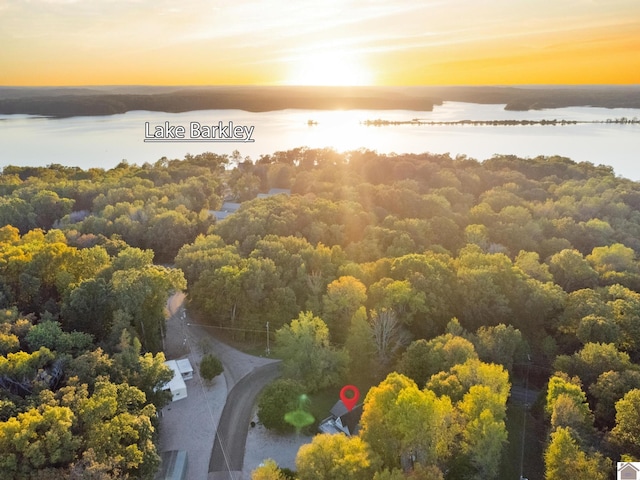 1405 Goose Holw, Cadiz, KY 42211 - bird's eye view of a large body of water