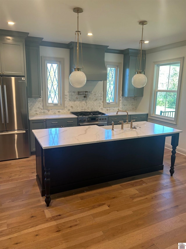 kitchen with stainless steel appliances, light hardwood / wood-style flooring, and plenty of natural light