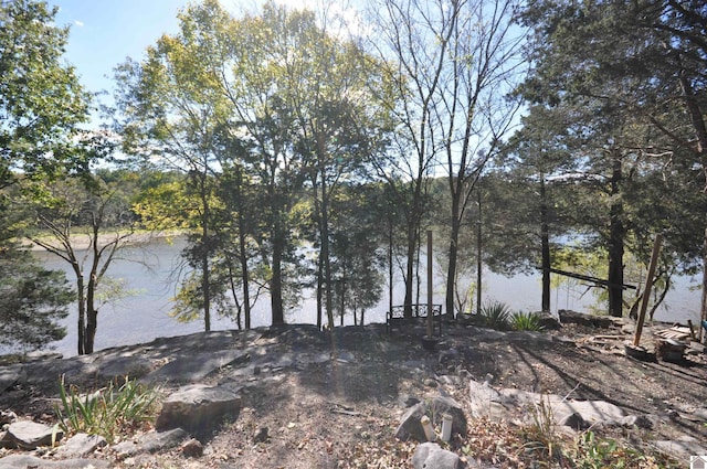 view of water feature