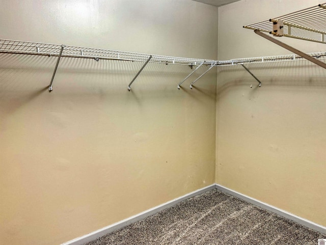 spacious closet with carpet