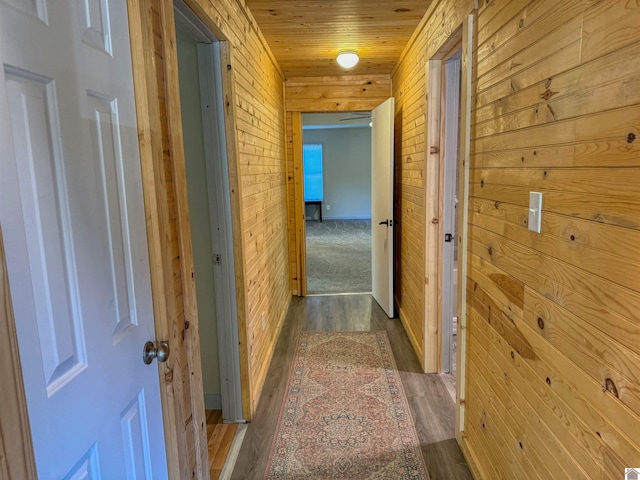 hall with wood-type flooring and wooden walls