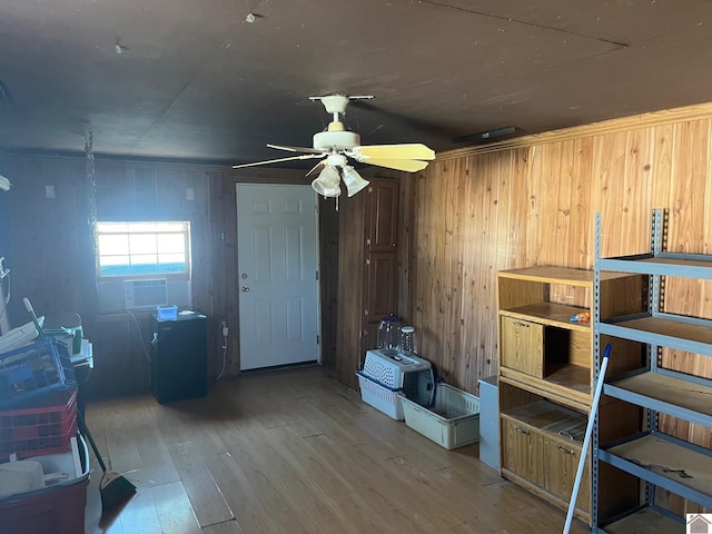 storage area with ceiling fan