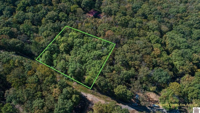 000 Tearose Dr Unit 810-812, New Concord, KY 42076