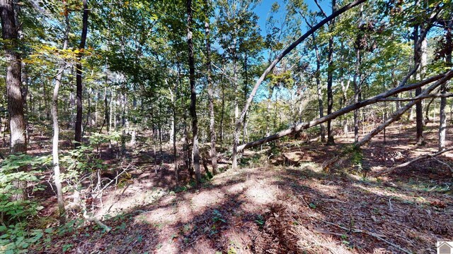 000 Tearose Dr Unit 810-812, New Concord, KY 42076