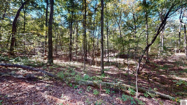 000 Tearose Dr Unit 810-812, New Concord, KY 42076