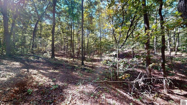 000 Tearose Dr Unit 810-812, New Concord, KY 42076