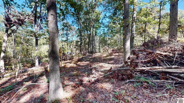 000 Tearose Dr Unit 810-812, New Concord, KY 42076
