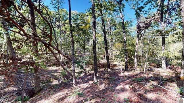 000 Tearose Dr Unit 810-812, New Concord, KY 42076