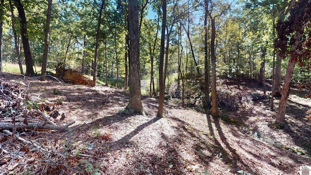 000 Tearose Dr Unit 810-812, New Concord, KY 42076