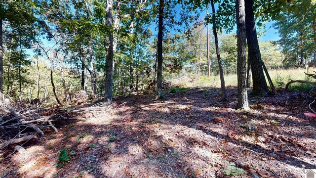 000 Tearose Dr Unit 810-812, New Concord, KY 42076
