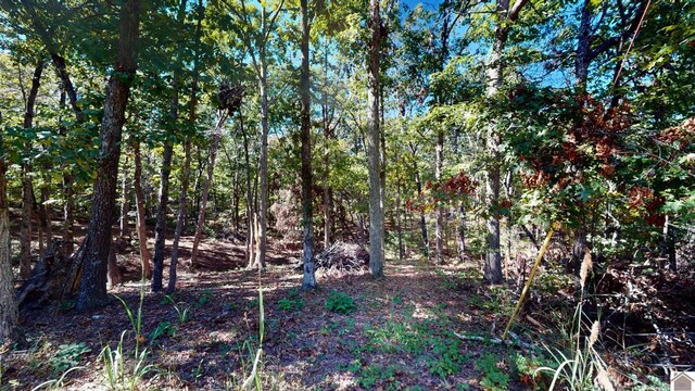 000 Tearose Dr Unit 810-812, New Concord, KY 42076