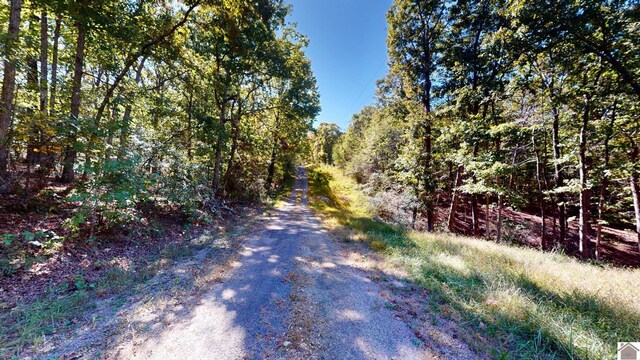 000 Tearose Dr Unit 810-812, New Concord, KY 42076
