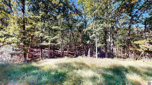 000 Tearose Dr Unit 810-812, New Concord, KY 42076