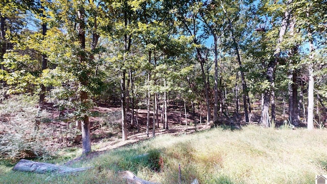 000 Tearose Dr Unit 810-812, New Concord, KY 42076
