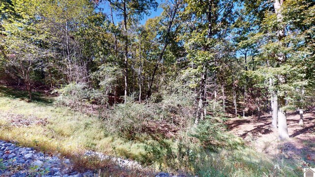 000 Tearose Dr Unit 810-812, New Concord, KY 42076