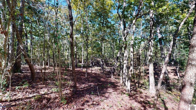 000 Tearose Dr Unit 810-812, New Concord, KY 42076