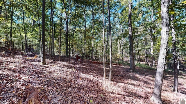 000 Tearose Dr Unit 810-812, New Concord, KY 42076