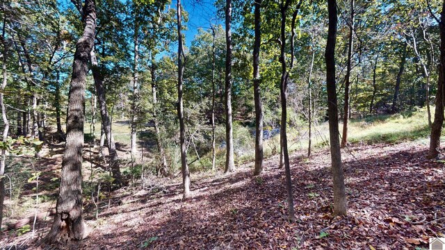 000 Tearose Dr Unit 810-812, New Concord, KY 42076