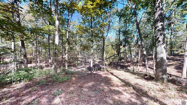 000 Tearose Dr Unit 810-812, New Concord, KY 42076