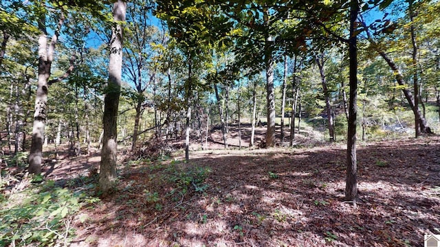 000 Tearose Dr Unit 810-812, New Concord, KY 42076