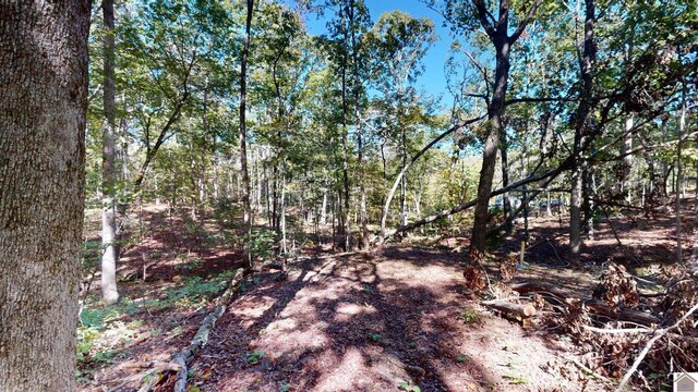 000 Tearose Dr Unit 810-812, New Concord, KY 42076