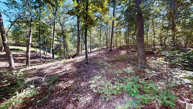 000 Tearose Dr Unit 810-812, New Concord, KY 42076