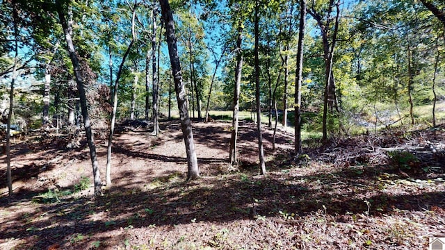 000 Tearose Dr Unit 810-812, New Concord, KY 42076