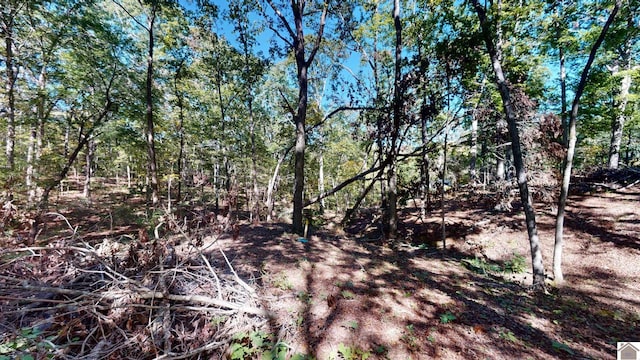 000 Tearose Dr Unit 810-812, New Concord, KY 42076