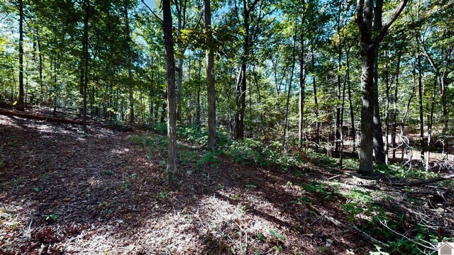 000 Tearose Dr Unit 810-812, New Concord, KY 42076