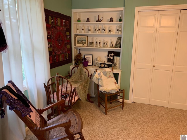 sitting room with carpet floors