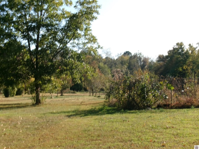 view of yard with a rural view