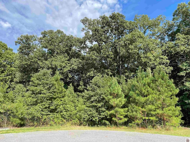 Listing photo 3 for LOT93 Streetland, Murray KY 42071