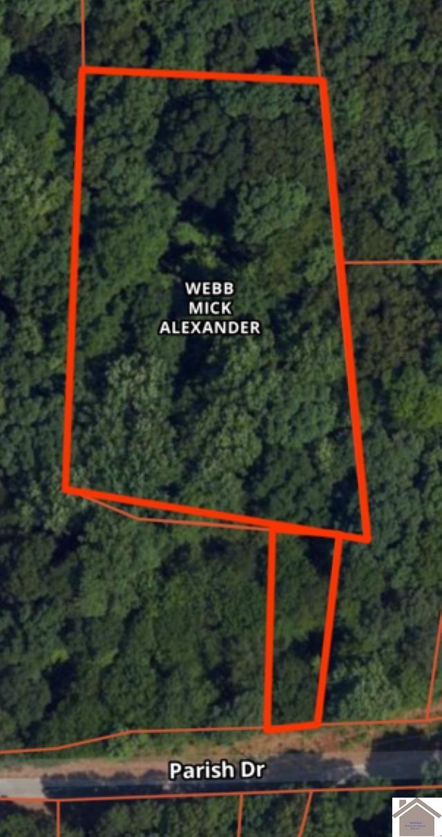 Parish Dr, New Concord, KY 42076